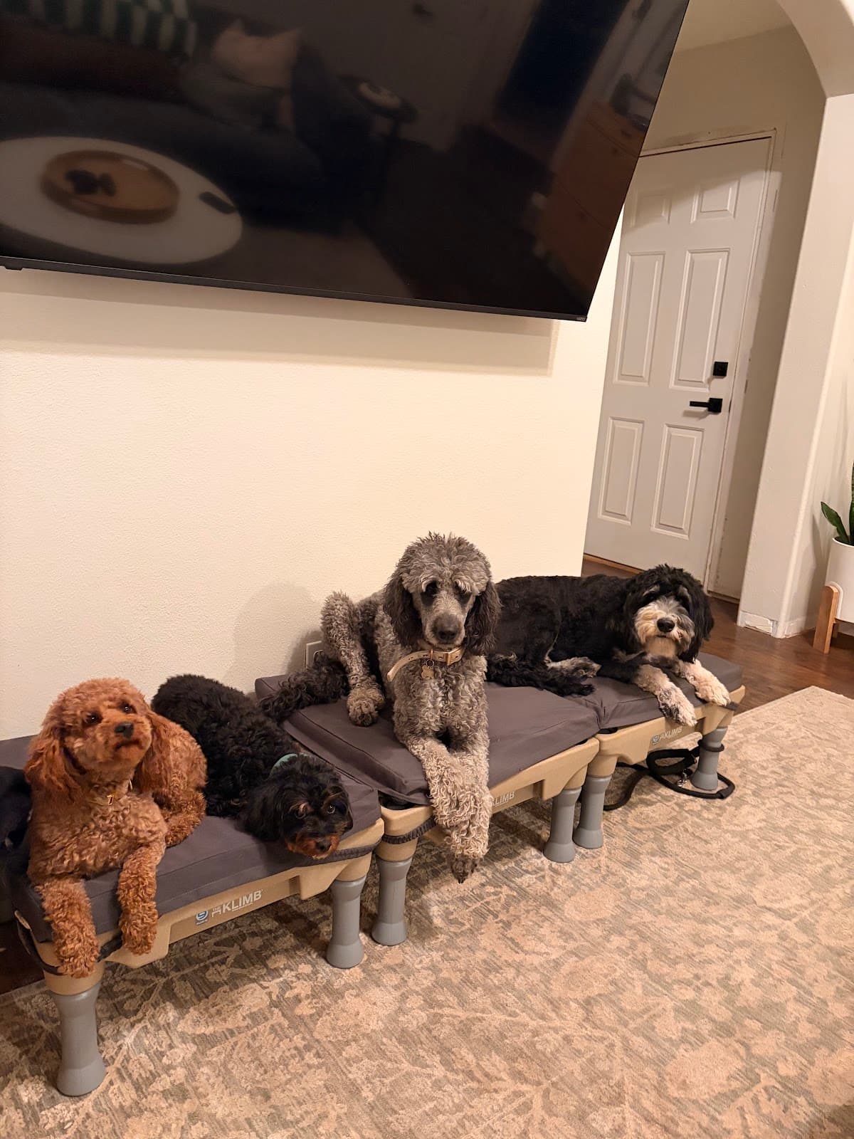 Photo from Giovanna Valdini's review