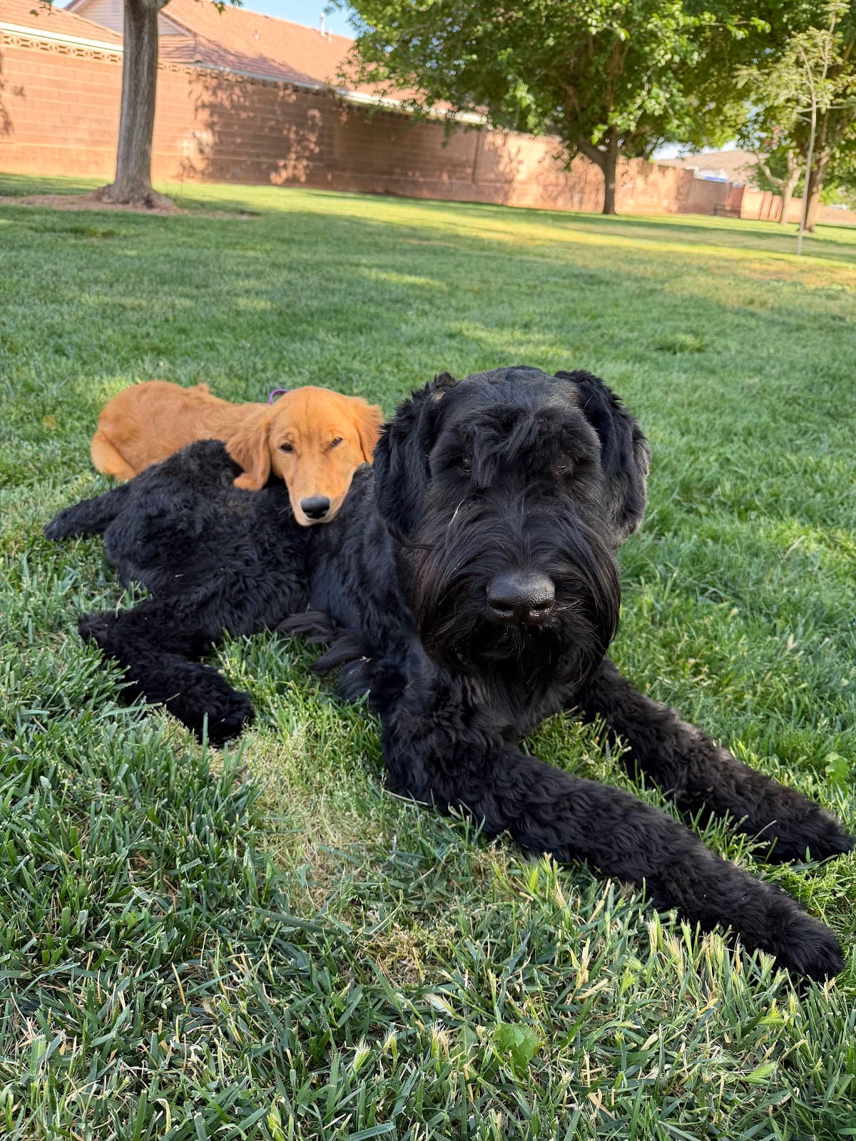 Photo from Malissa Baum's review