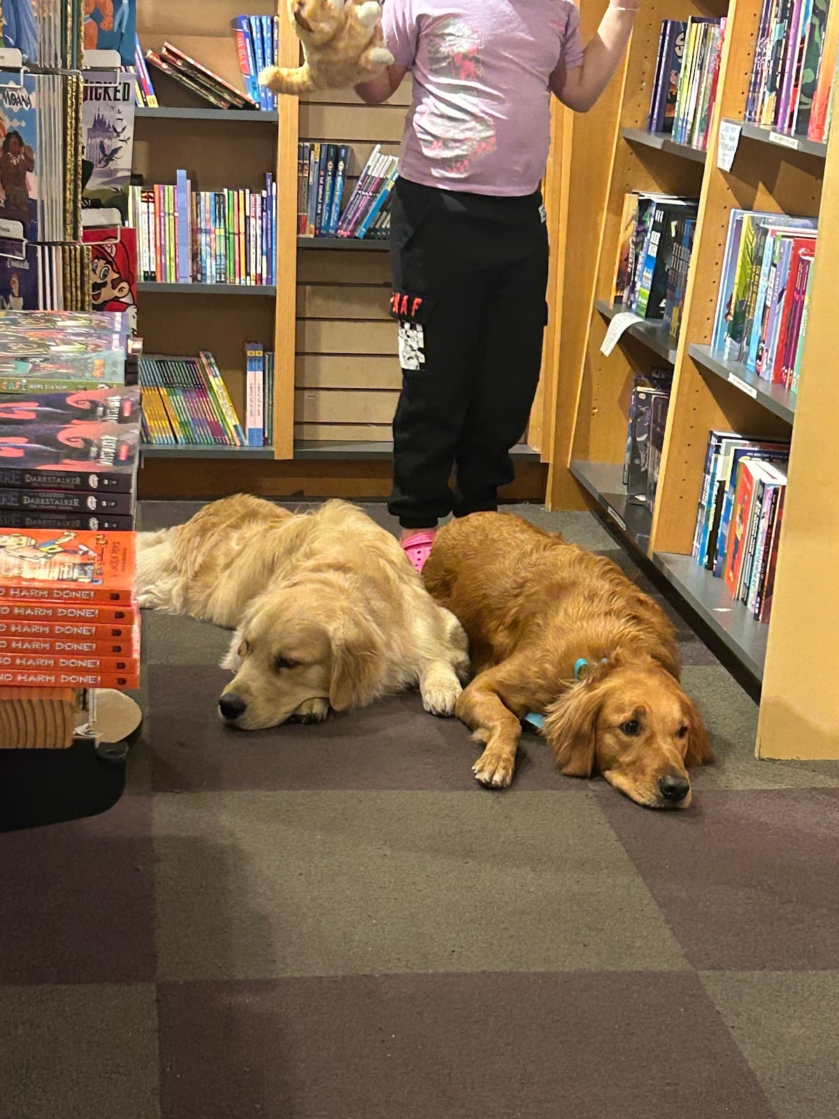 Photo from Amber Harrison's review