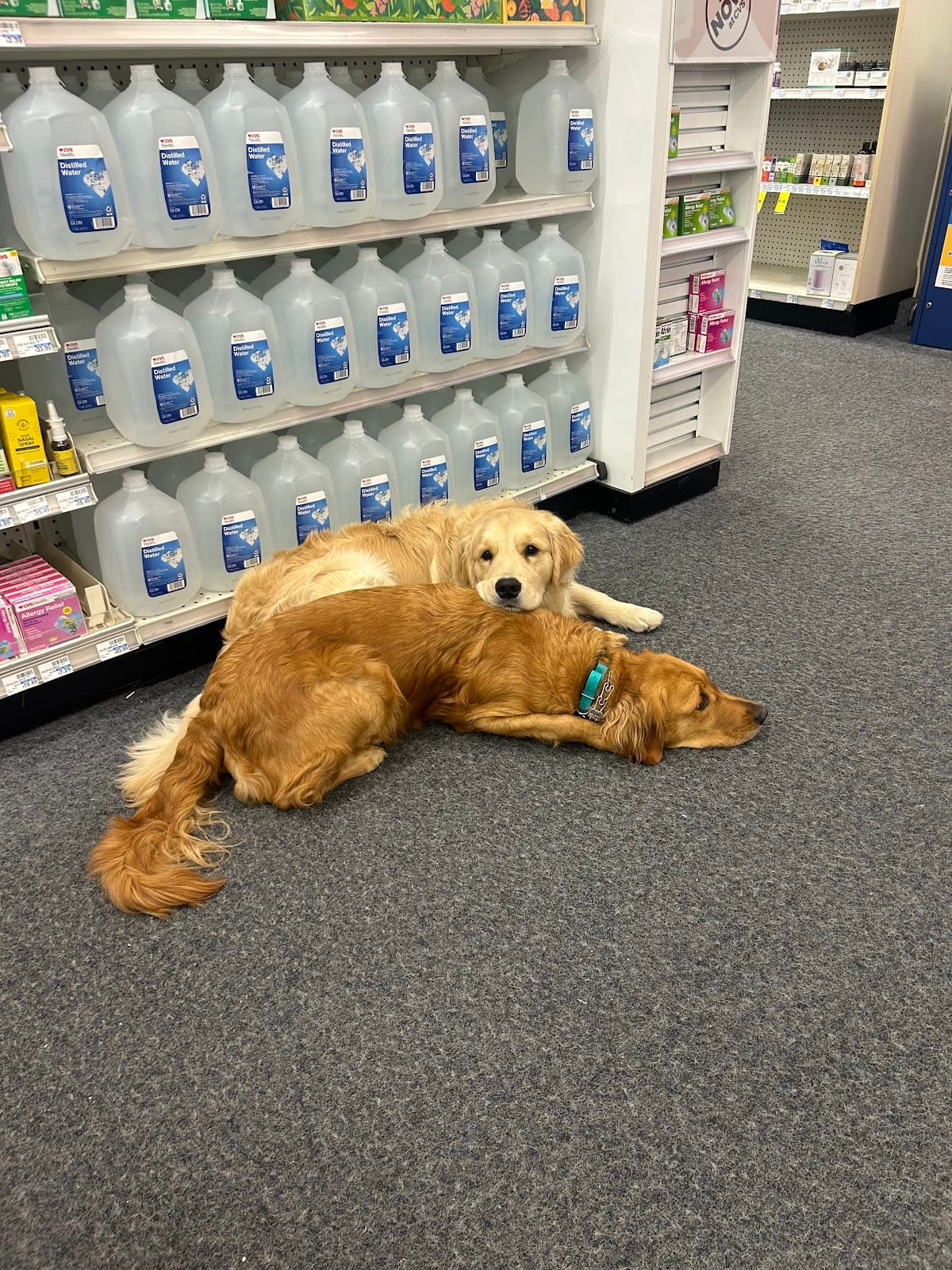 Photo from Amber Harrison's review