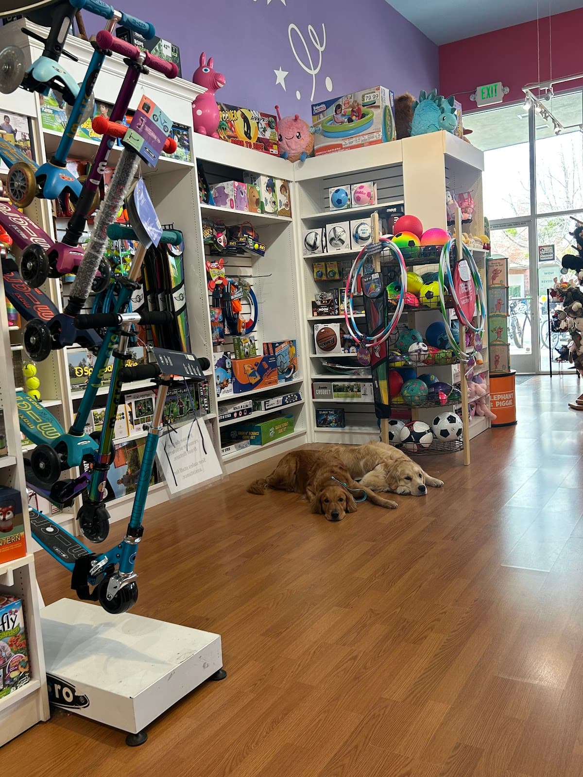 Photo from Amber Harrison's review