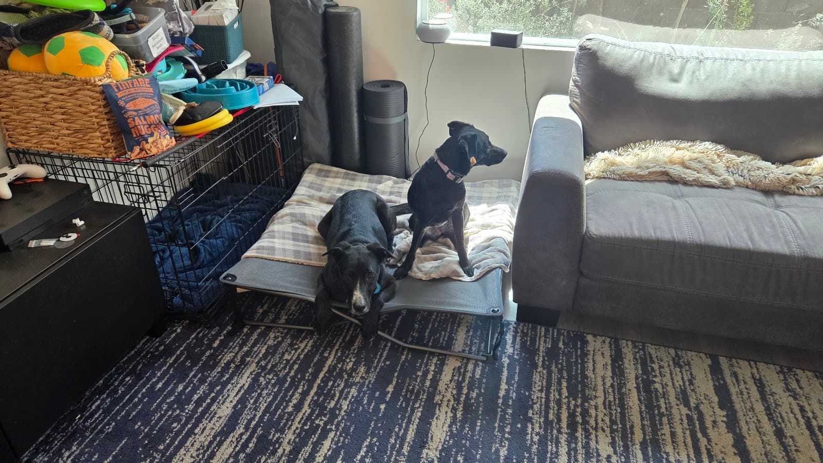 Photo from Halie Moulton's review