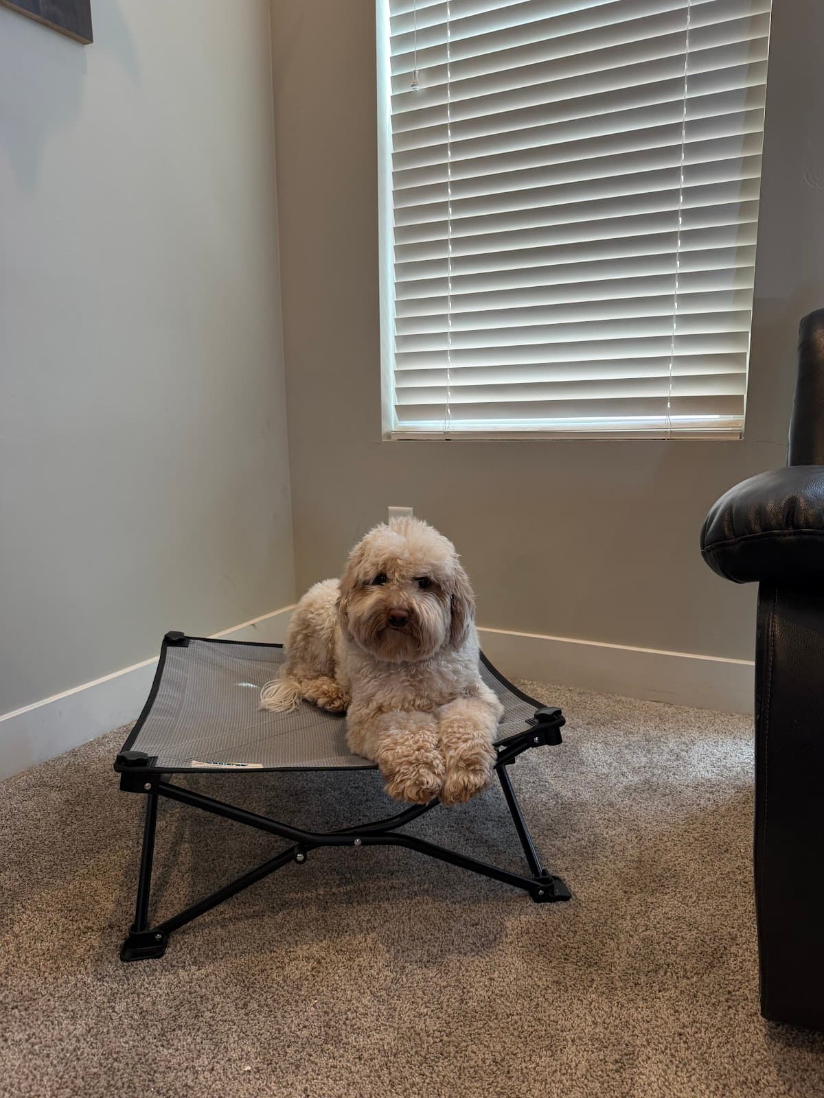 Photo from Caroline Cahill's review